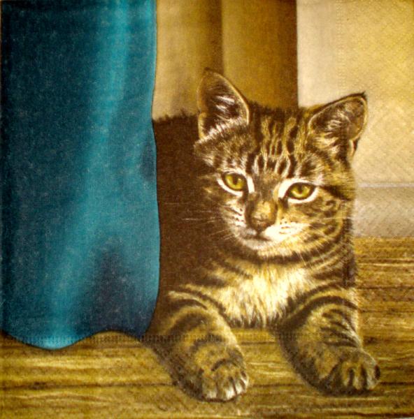 071 Cats - 3-ply - Chris Piper
